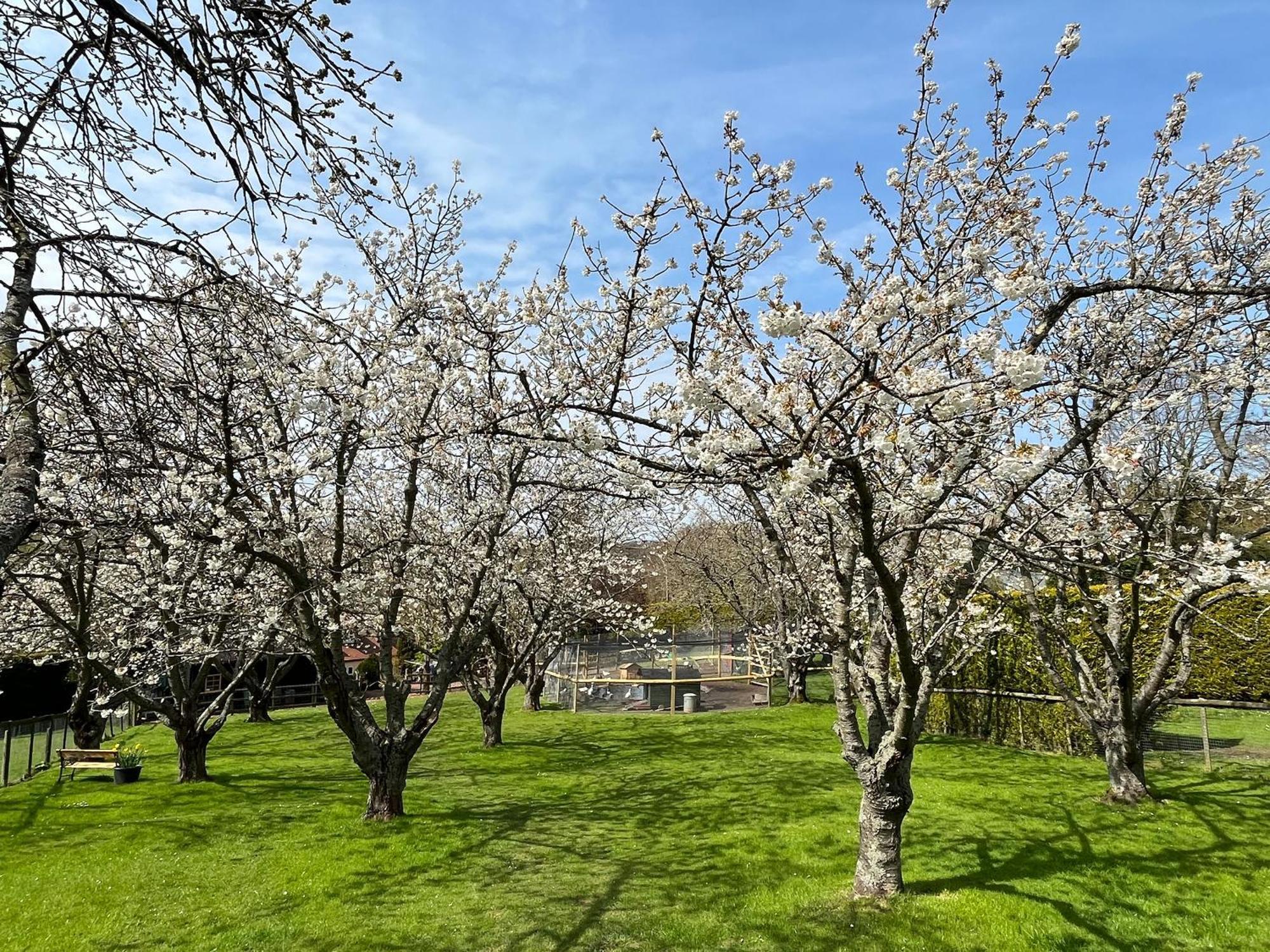 Lekido Villa Hernhill Buitenkant foto